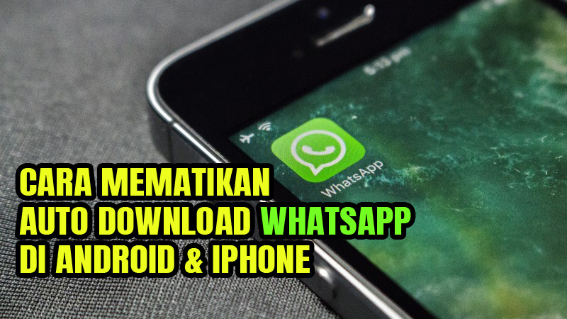 Stop Auto Download WhatsApp Iphone